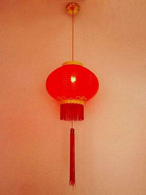 led灯笼厂家 led灯笼厂家